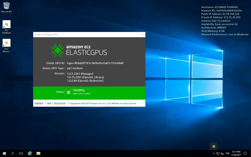 Elastic GPU on Windows EC2 Instance