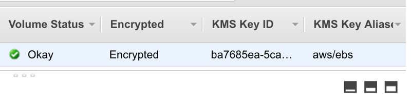 Displaying encryption of an EBS volume on the volumes list